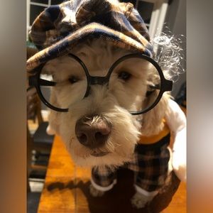 Dog Halloween Costume Size L (22-Lb Dog)